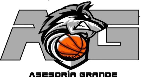 Asesoría Grande